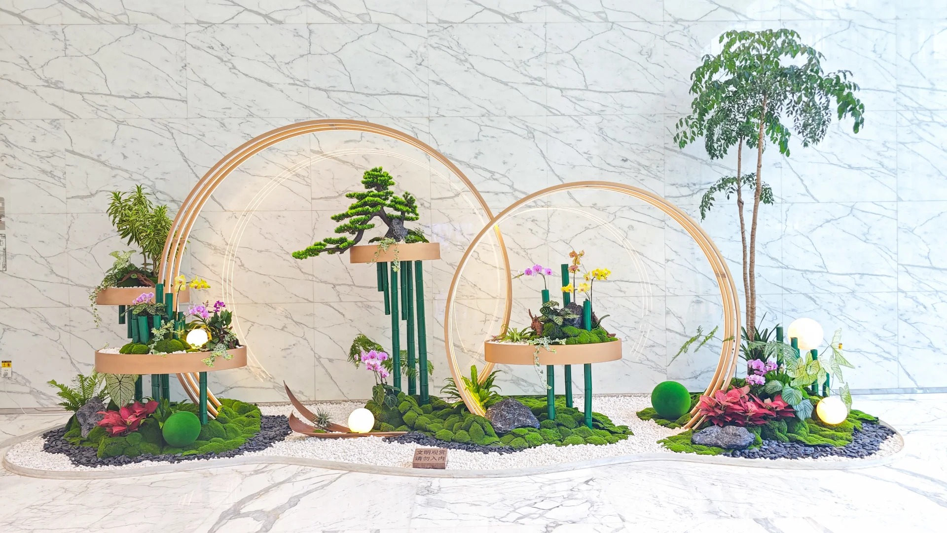 价格实惠的盆景租赁，就在宁波鄞州！